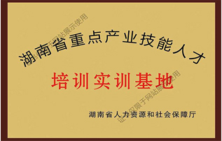 湖南省重点产业技能人才培训实训基地
